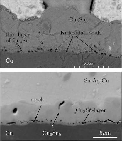Kirkendall Void SEM 단면 이미지